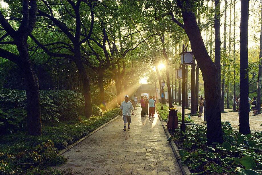 QQ截圖20200106082925 QQ截圖20200106082925